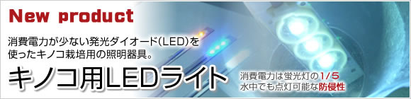キノコ用LEDライト